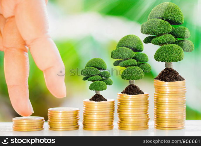 Tree growth on soil with golden coins and fresh nature background blurred