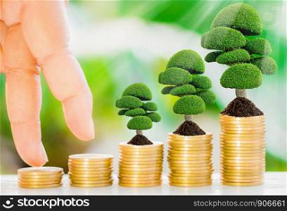 Tree growth on soil with golden coins and fresh nature background blurred