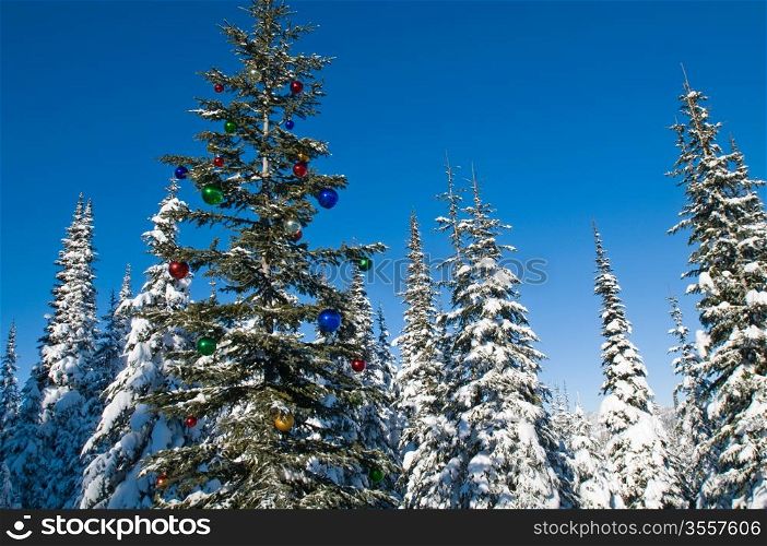 Tree in a winter forest decorated for Christmas