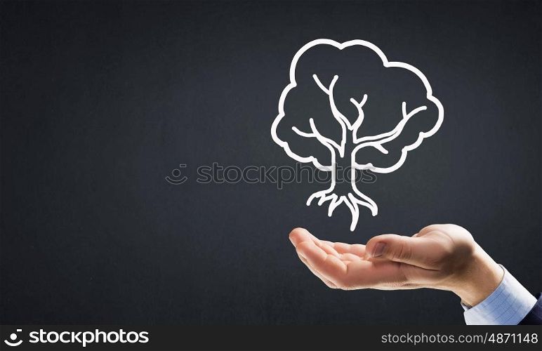 Tree in hands. Close up of businessman hand holding drawn tree sign