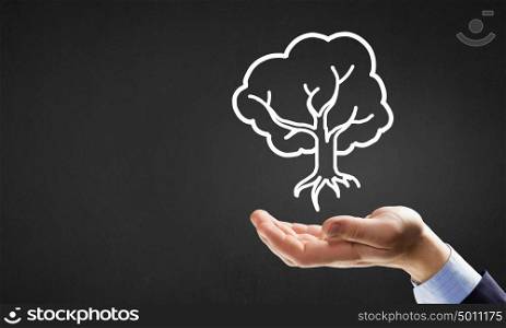Tree in hands. Close up of businessman hand holding drawn tree sign
