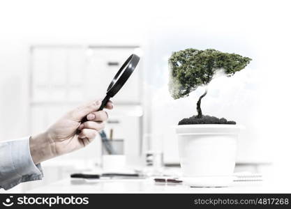 Tree in pot. Close up of human hand examining tree in pot with magnifier