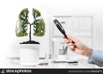 Tree in pot. Close up of human hand examining tree in pot with magnifier