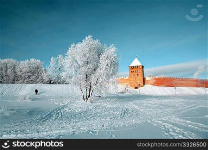 tree in snow against old fortress