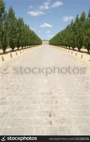 Tree lined avenue