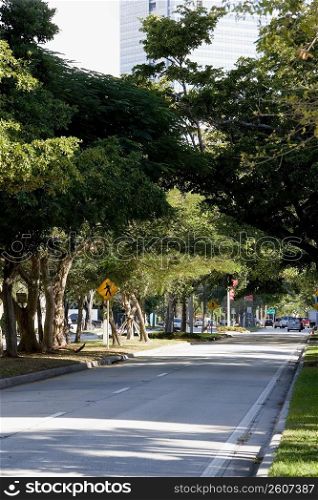 Tree-lined street, US-1, Miami, Florida, USA