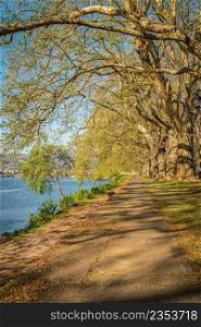 Tree lined walk along the Lima River at Alameda dos Platanos. Park bench in river side view in nature landscape, Ponte de Lima, Portugal
