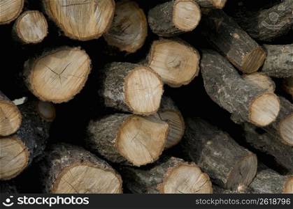 Tree logs