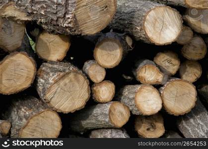 Tree logs