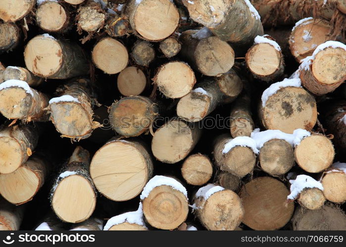 Tree logs in winter, prepared for a transport