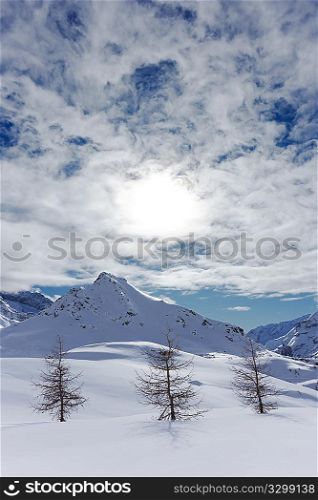 Tree naked larches over a snowy mountain scenic. Valle d&acute;Aosta, Italy.