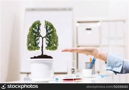 Tree of success. Close up of human hand and tree in flower pot