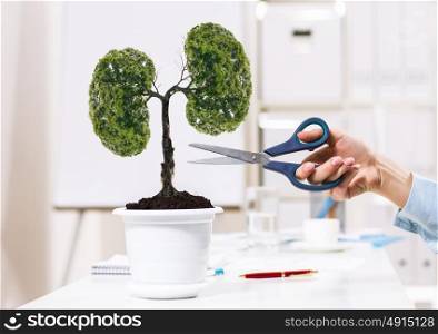 Tree of success. Close up of human hand cutting tree in pot with scissors