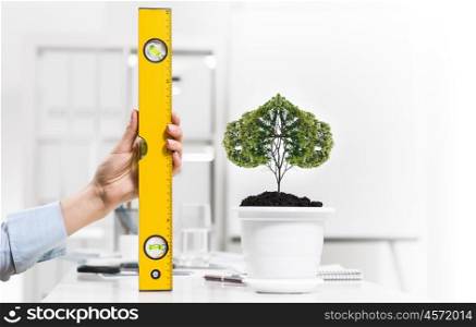 Tree of success. Close up of human hand measuring tree in pot with ruler