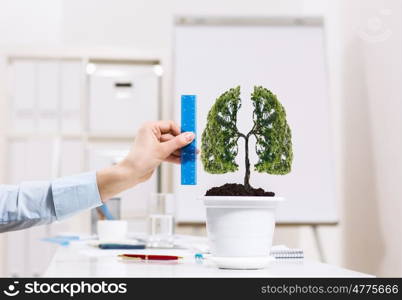 Tree of success. Close up of human hand measuring tree in pot with ruler