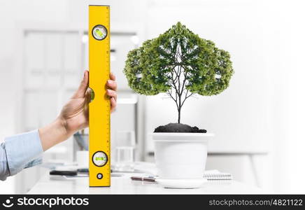 Tree of success. Close up of human hand measuring tree in pot with ruler