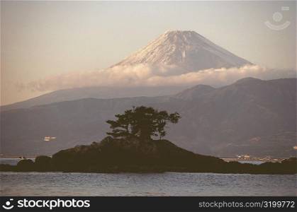 Tree on an island with a mountain in the background, Mt Fuji, Suruga Bay, Shizuoka Prefecture, Japan