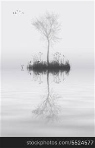 Tree on foggy lake landscape emotioal image