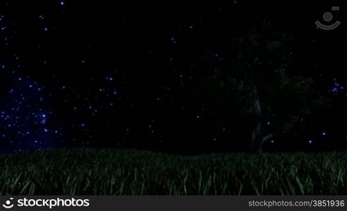 Tree on Green Meadow and Starry Sky with Falling Star, Time Lapse