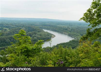 tree on the background of the landscape with the river and forest. landscape with river and forest