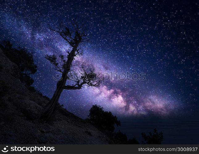 Tree on the mountain against Milky Way. Night landscape. Night colorful scenery. Starry sky in summer. Beautiful universe. Space background with galaxy and old tree. Purple milky way. Travel