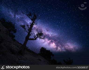 Tree on the mountain against Milky Way. Night landscape. Night colorful scenery. Starry sky in summer. Beautiful universe. Space background with galaxy and old tree. Purple milky way. Travel