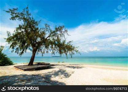 tree on the sea beach at Koh MunNork Island, Rayong, Thailand