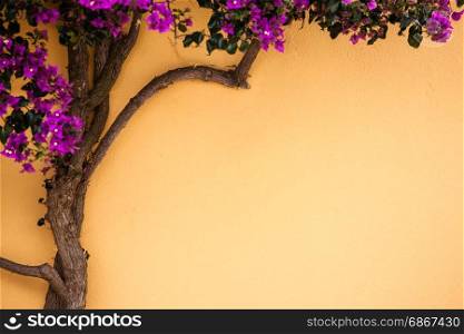 Tree over the wall. Green tree and flower abstract background decoration