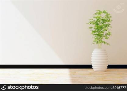 tree pot and white wall interior decorated