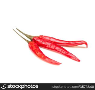 tree red chilli pepper isolated on the light gray