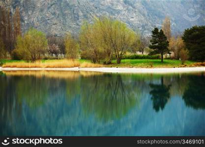 tree reflection in spring mountain lake