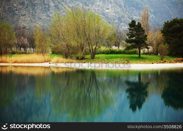 tree reflection in spring mountain lake