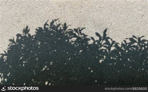 tree shadow on gravel texture as background