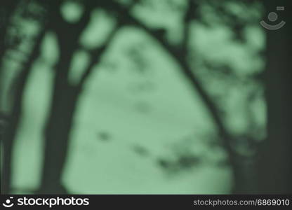 tree shadow on the green concrete wall background