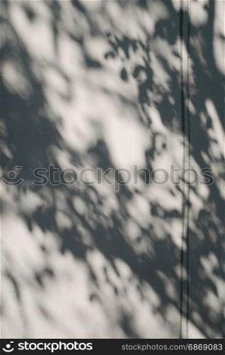 tree shadow on the white concrete wall pattern