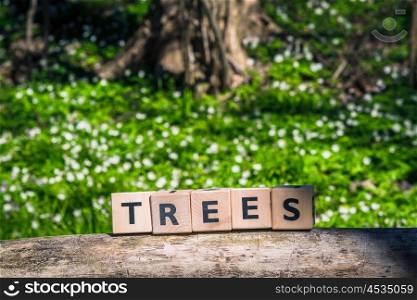 Tree sign in a green forest at springtime
