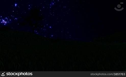 Tree Silhouette on Meadow and Starry Sky, Time Lapse