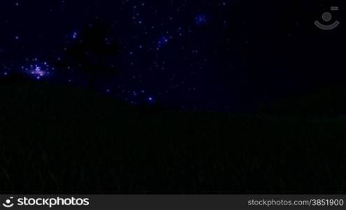 Tree Silhouette on Meadow and Starry Sky, Time Lapse
