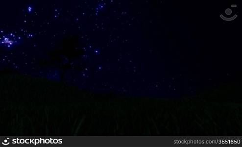 Tree Silhouette on Meadow and Starry Sky, Time Lapse, cam fly