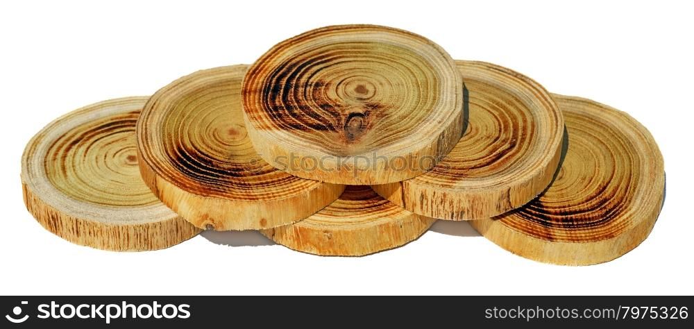 Tree slices without barks