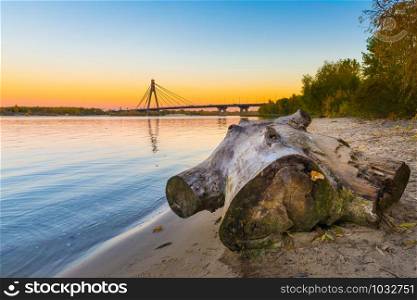 Tree stump close to the Dnieper river at dusk in autumn, in Kiev, Ukraine. The Moskovsky bridge appears in the background