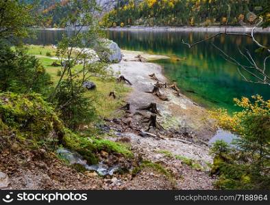 Tree stumps after deforestation near Gosauseen or Vorderer Gosausee lake, Upper Austria. Colorful autumn alpine view of mountain lake with clear transparent water and reflections.