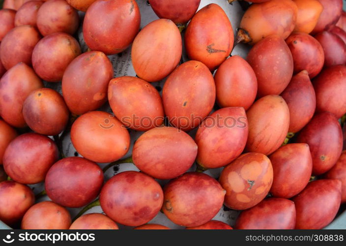 Tree tomato also known as tamarillo