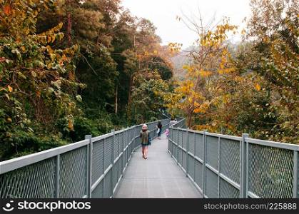 Tree top jungle walk, forest Canopy bridge with tourists in Queen Sirikit Botanic garden, Chiang Mai, Thailand
