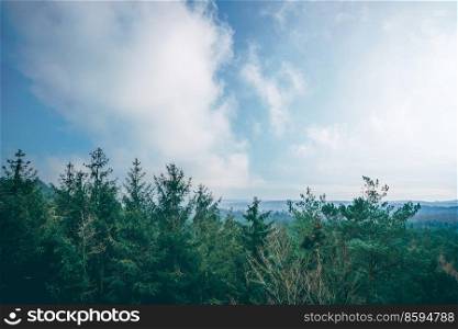 Tree tops in a misty forest with a beautiful view over the woods under a blue sky