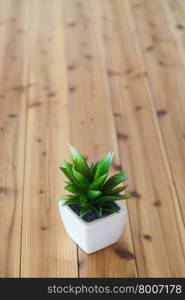 Tree wearing white pot Set on a table made of wood.