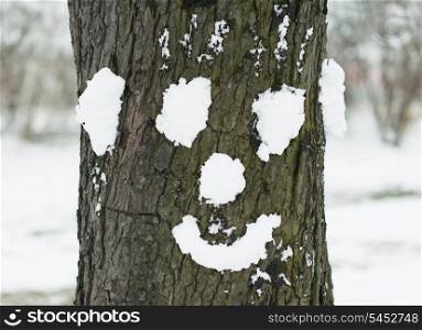 Tree with face made with snow