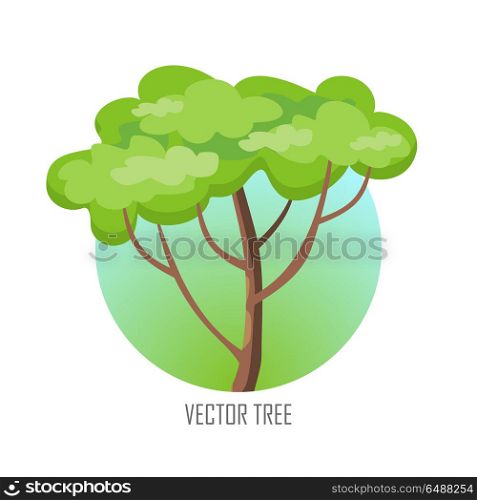 Tree with Green Leaves.. Tree with green leaves. Vector tree round icon. Tree forest, leaf tree isolated, tree branch nature green, plant eco branch tree, organic natural wood illustration. Vector illustration