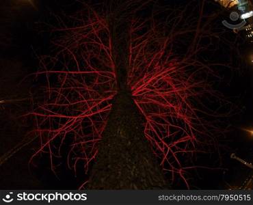 tree with light