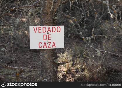 Tree with poster forbidden to hunt in Spanish